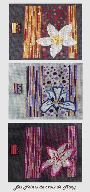 Frangipanier-Iris -lys