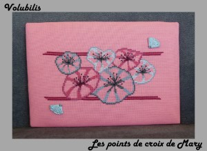 montage blog volubilis